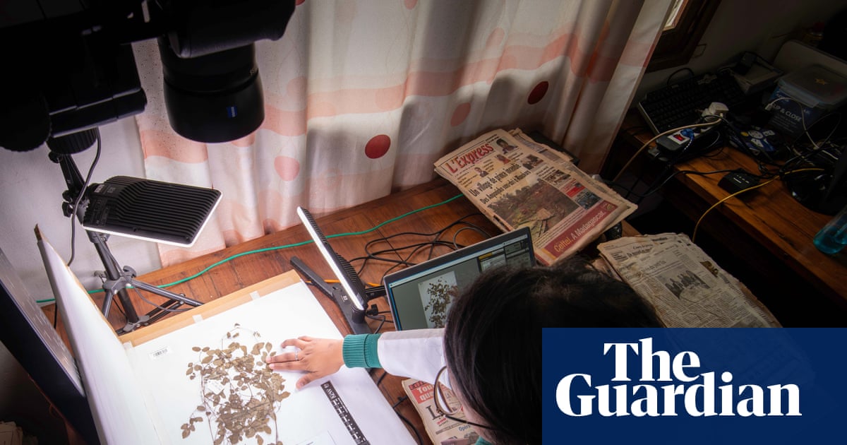 AI could help win ‘race against extinction’ of vital plants, say botanists