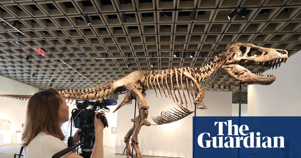 Sale of multimillion-dollar T rex skeleton is big headache for scientists