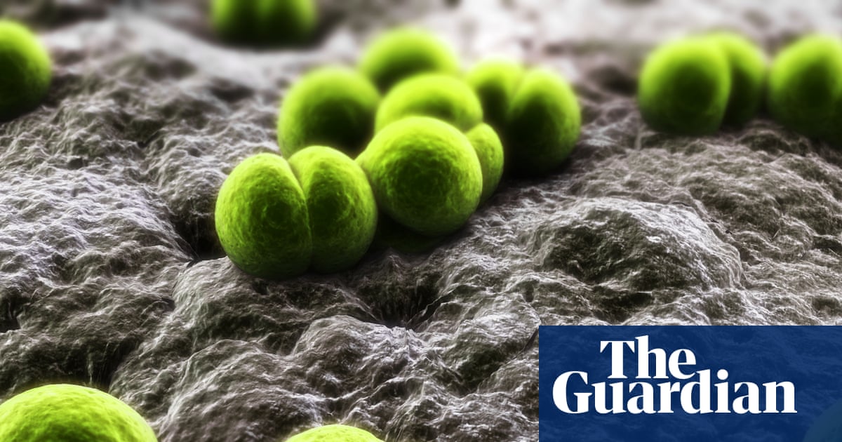 One dead and two more ill after meningitis outbreak in Berkshire