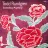 Power Pop Radio