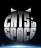 Cats in Space